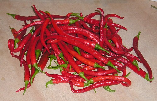 Cayenne peppers for chicken
