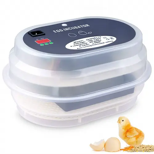 HBlife 9-12 Digital Fully Automatic Incubator